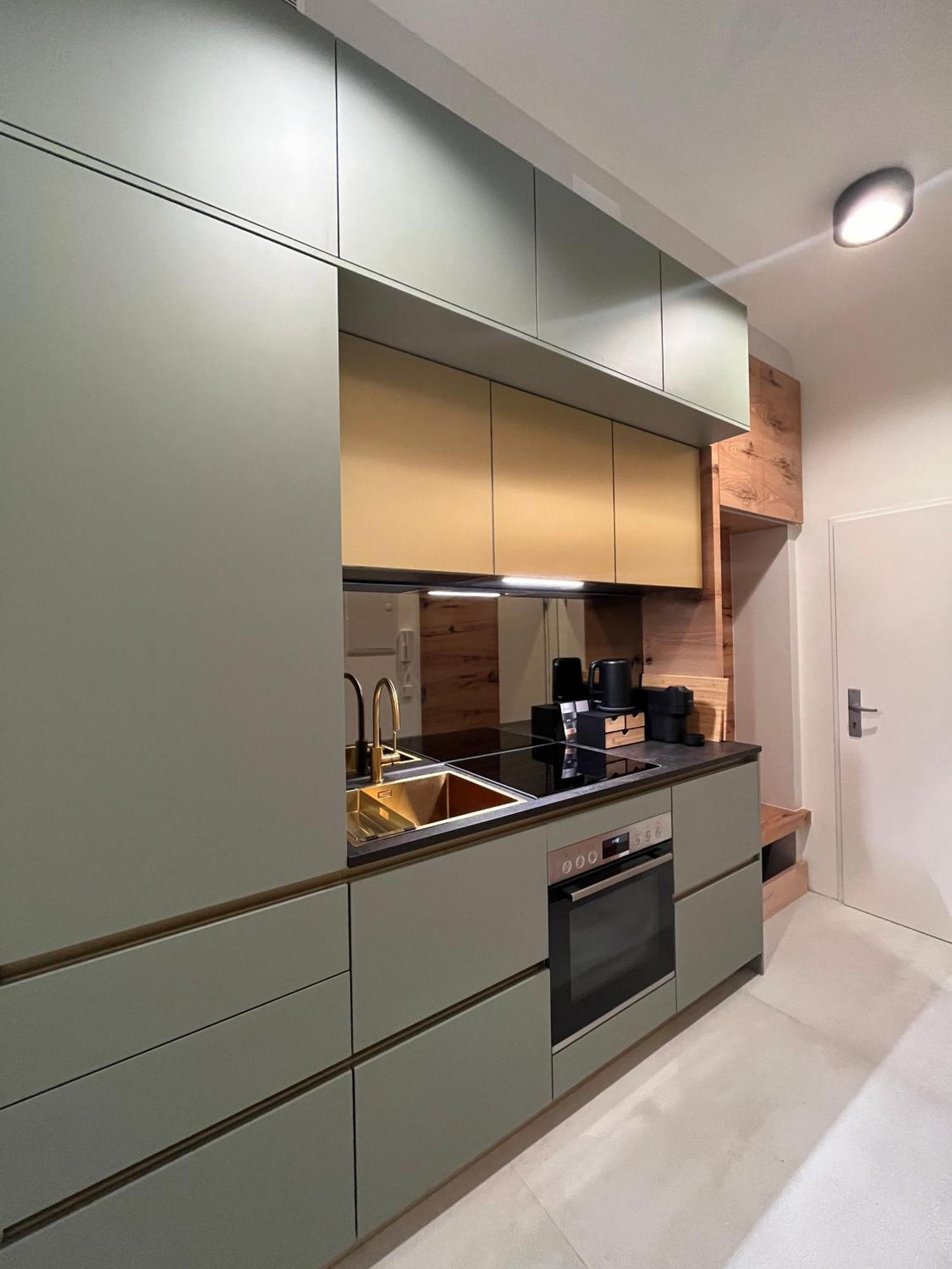 Luxurious One Room Apartment Near Schoenbrunn Palace Viena Exterior foto