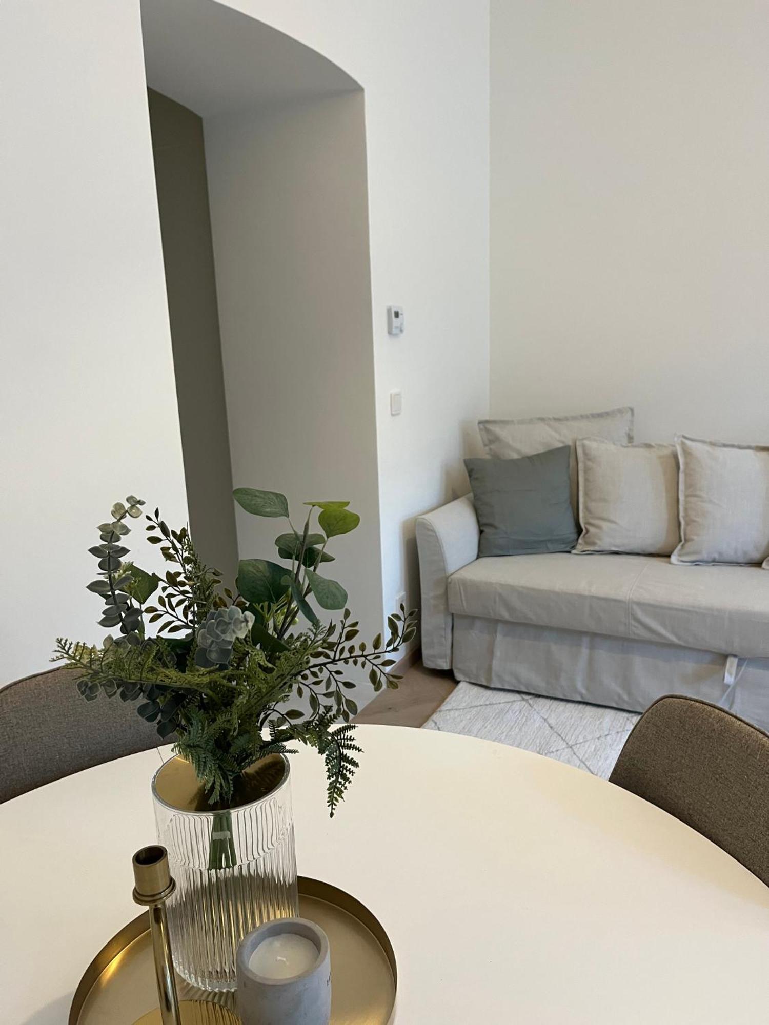 Luxurious One Room Apartment Near Schoenbrunn Palace Viena Exterior foto